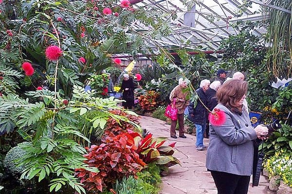 Seniors from the Cardinal Retirement Residence visiting a greenhouse full of beautiful flowers.